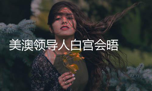 美澳領(lǐng)導(dǎo)人白宮會(huì)晤  宣布建立“創(chuàng)新聯(lián)盟”