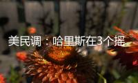 美民調：哈里斯在3個搖擺州領先特朗普，經濟移民議題成焦點