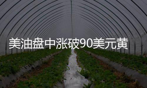 美油盤中漲破90美元黃金三連漲至逾兩個月高位