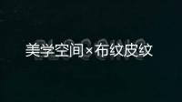 美學空間×布紋皮紋