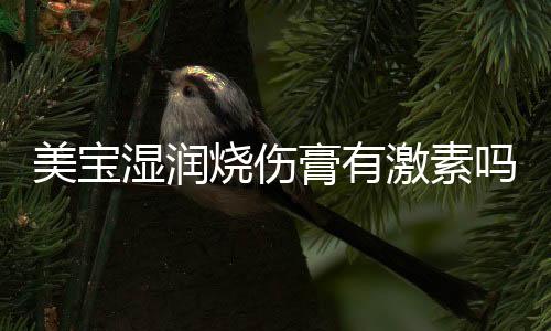 美寶濕潤燒傷膏有激素嗎？美寶濕潤燒傷膏是激素藥嗎？