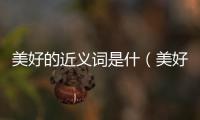 美好的近義詞是什（美好近義詞是什么）