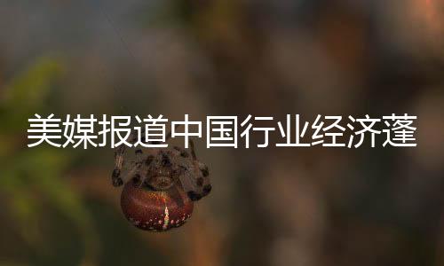 美媒報(bào)道中國行業(yè)經(jīng)濟(jì)蓬勃發(fā)展