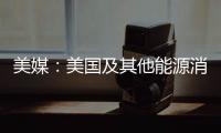 美媒：美國及其他能源消費(fèi)國計(jì)劃推動(dòng)歐佩克＋增產(chǎn)