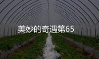 美妙的奇遇第65