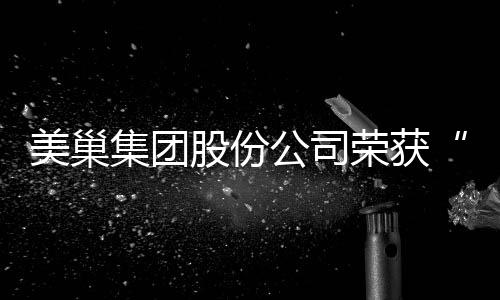 美巢集團股份公司榮獲“2021中國家居行業價值100公司”