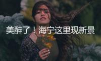 美醉了！海寧這里現新景！