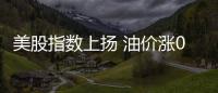 美股指數(shù)上揚(yáng) 油價漲0.3%至103.22美元