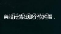 美股行情在哪個(gè)軟件看，美股正股行情用什么軟件可以看