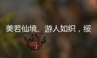 美若仙境、游人如織，綏江“李白花開節(jié)”“雪白”綻放