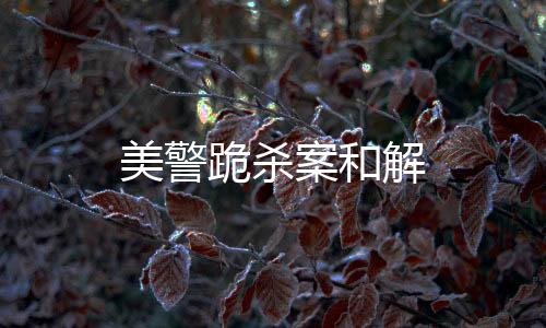 美警跪殺案和解