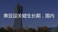 美豆迎關鍵生長期，國內豆油現貨偏強運行