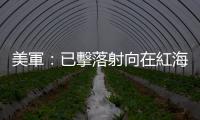 美軍：已擊落射向在紅海執(zhí)行任務(wù)的美軍艦的導(dǎo)彈
