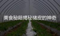 美食秘籍揭秘豬皮的神奇功效，讓你煥發青春光彩！