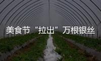 美食節“拉出”萬根銀絲
