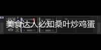 美食達人必知桑葉炒雞蛋：營養均衡，助你煥發健康光彩！