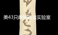 美43只雌猴逃出實驗室 或帶致命病毒