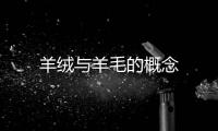 羊絨與羊毛的概念
