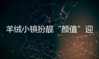羊絨小鎮扮靚“顏值”迎旺季