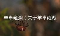 羊卓雍湖（關(guān)于羊卓雍湖的基本情況說(shuō)明介紹）