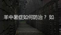 羊中暑癥如何防治？ 如何防治熱射病