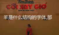 羊是什么結構的字體,部首是什么（羊是什么結構）