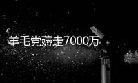 羊毛黨薅走7000萬 小店被逼上絕路 運營失誤與羊毛族狂歡