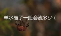 羊水破了一般會流多少（孕婦必知的羊水破裂常識）