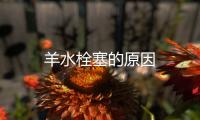 羊水栓塞的原因