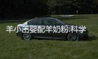 羊小茁嬰配羊奶粉:科學配方,精準營養,守護寶寶健康成長