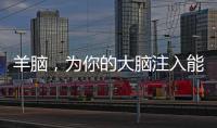 羊腦，為你的大腦注入能量
