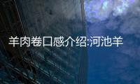 羊肉卷口感介紹:河池羊肉卷