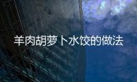 羊肉胡蘿卜水餃的做法