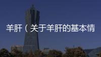 羊肝（關于羊肝的基本情況說明介紹）