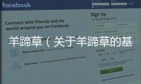羊蹄草（關(guān)于羊蹄草的基本情況說明介紹）