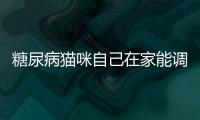 糖尿病貓咪自己在家能調(diào)好嗎(糖尿病貓咪癥狀)