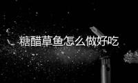 糖醋草魚怎么做好吃
