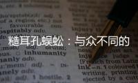 糙耳孔蜈蚣：與眾不同的蜈蚣科生物（體態很特別）