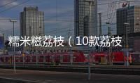 糯米糍荔枝（10款荔枝對比測評）
