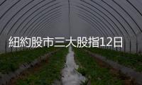 紐約股市三大股指12日漲跌不一