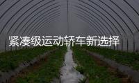 緊湊級運動轎車新選擇 領(lǐng)克03將于年內(nèi)亮相