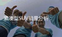 緊湊型SUV銷量分析：自主拉動增長
