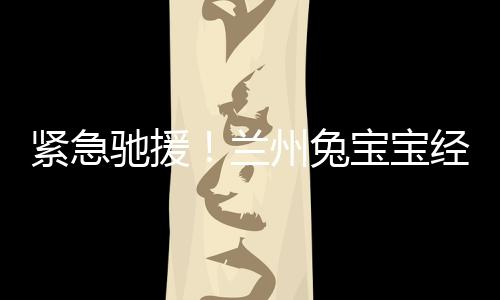 緊急馳援！蘭州兔寶寶經銷商向甘肅地震災區捐贈物資