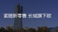 緊隨新零售 長城旗下歐拉將在線上直銷賣車