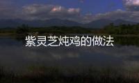 紫靈芝燉雞的做法