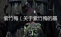 紫竹梅（關于紫竹梅的基本情況說明介紹）