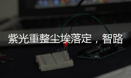 紫光重整塵埃落定，智路建廣“雙輪驅(qū)動(dòng)”打造半導(dǎo)體產(chǎn)業(yè)航母