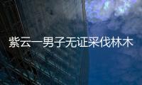 紫云一男子無(wú)證采伐林木 觸犯刑律被拘役六個(gè)月
