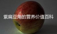 紫扁豆角的營養價值百科