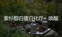 紫杉醇白蛋白化療：喚醒肌膚的美麗奇跡